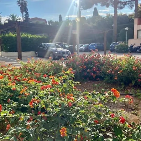 Avec Piscine Et Acces A